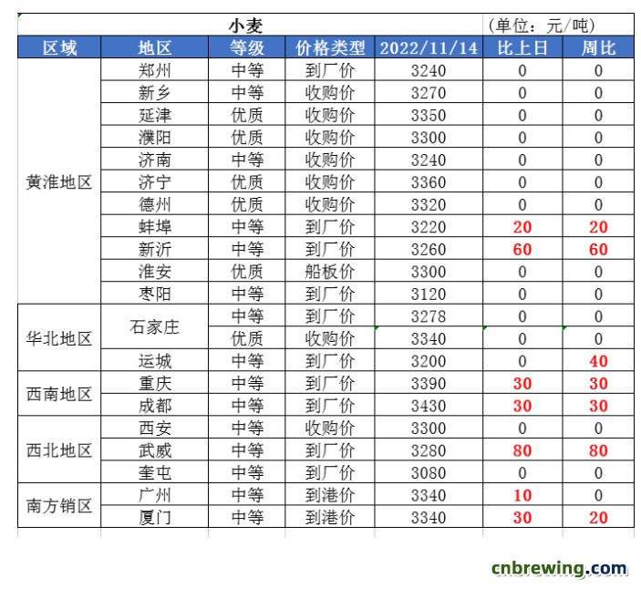 11.15小麦